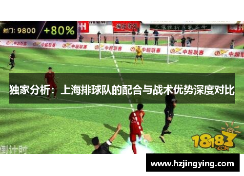 独家分析：上海排球队的配合与战术优势深度对比